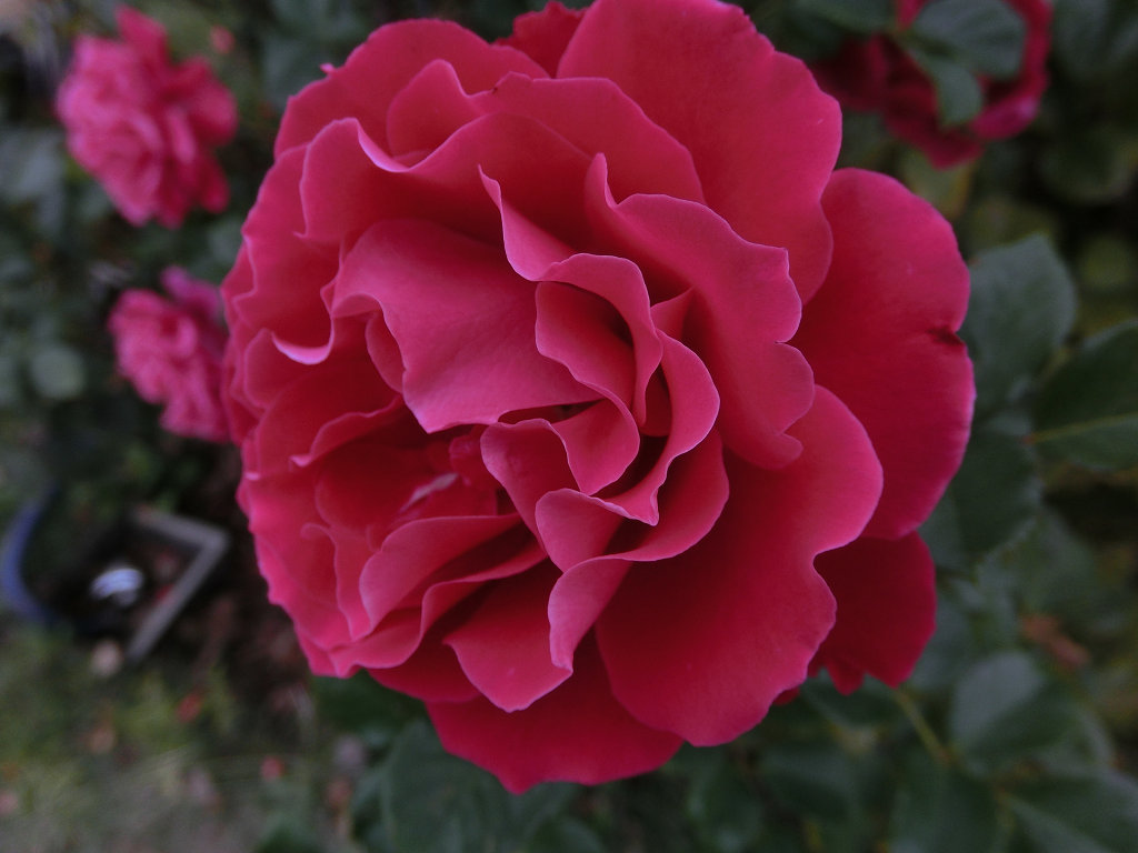 f:id:mishinon:20200412103658j:plain