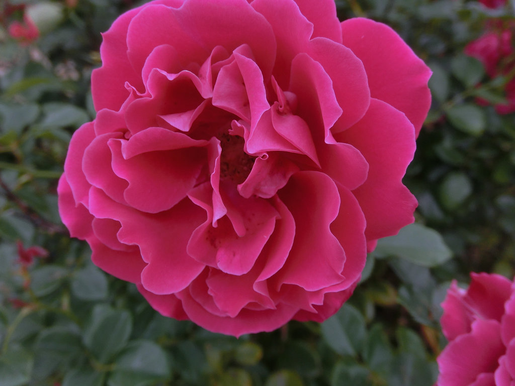 f:id:mishinon:20200412103734j:plain