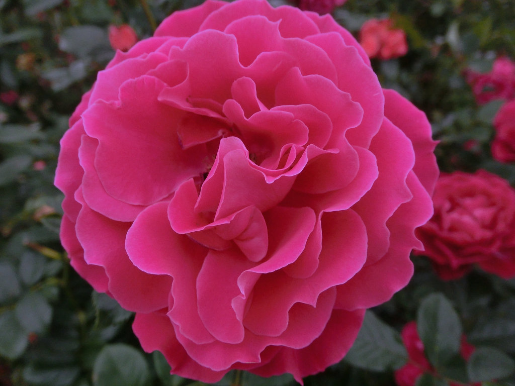 f:id:mishinon:20200412103743j:plain