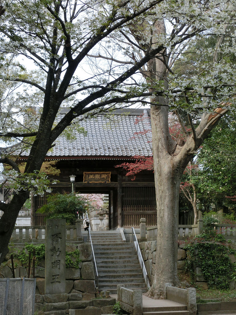 f:id:mishinon:20200531112617j:plain