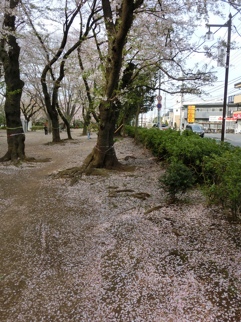 f:id:mishinon:20200531112700j:plain
