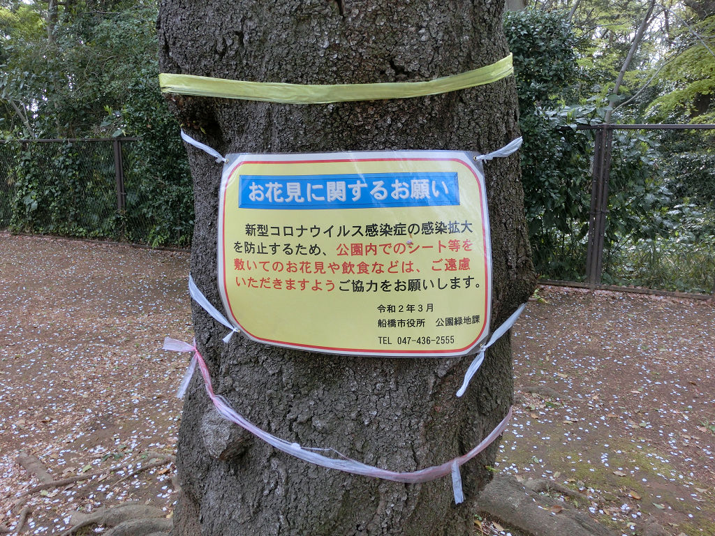 f:id:mishinon:20200531112722j:plain