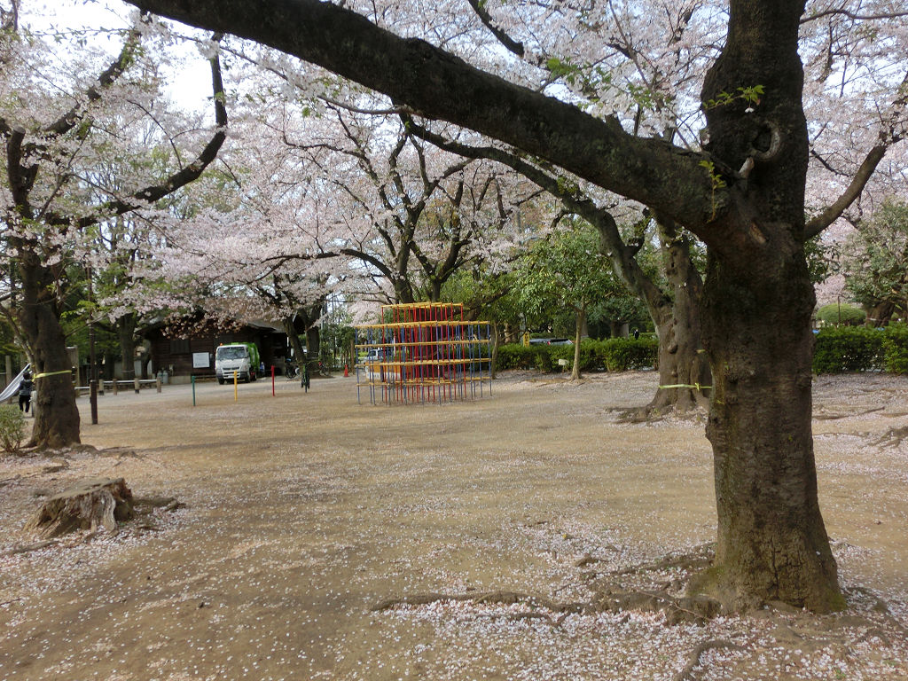 f:id:mishinon:20200531112748j:plain