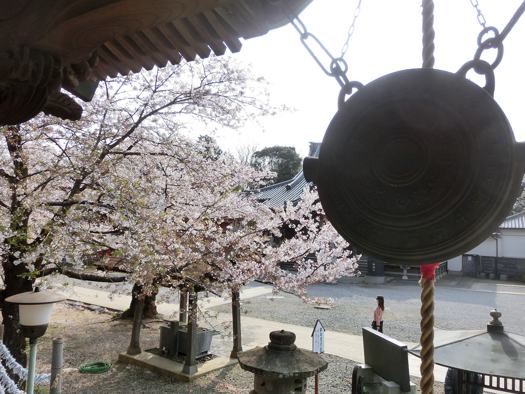 f:id:mishinon:20200602095908j:plain