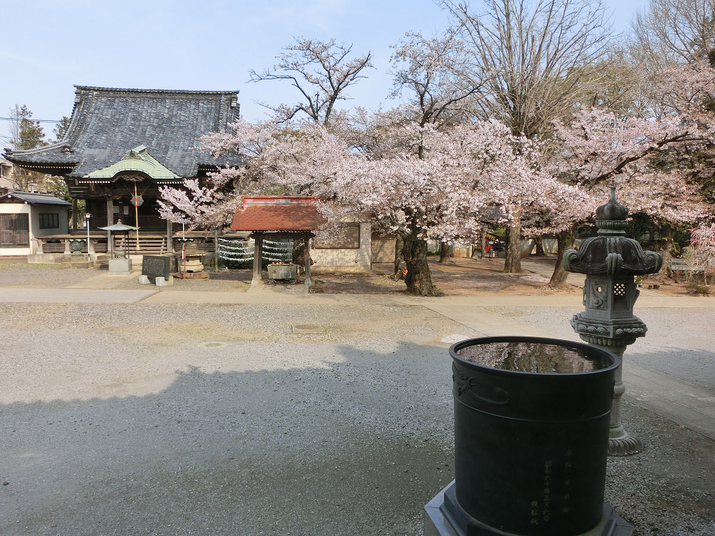 f:id:mishinon:20200602095952j:plain