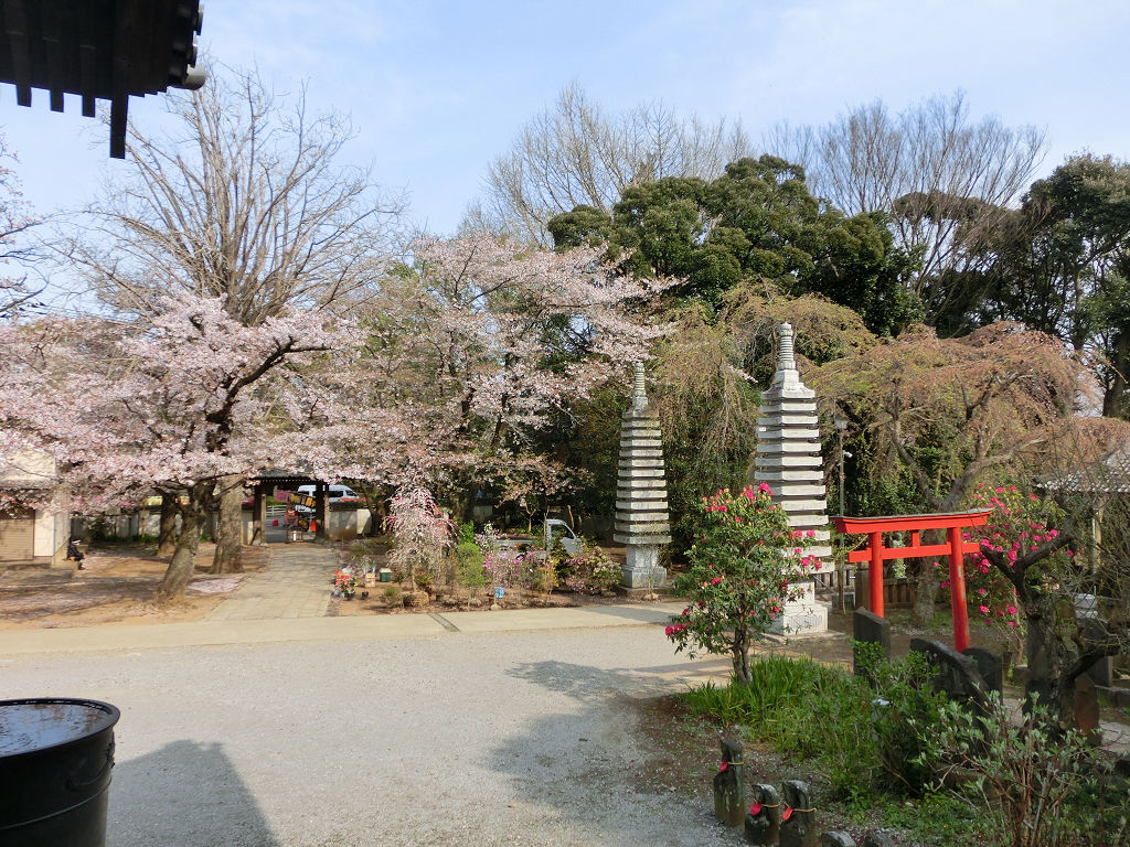 f:id:mishinon:20200602100004j:plain
