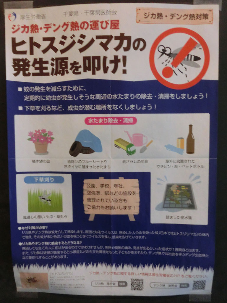 f:id:mishinon:20200713173607j:plain