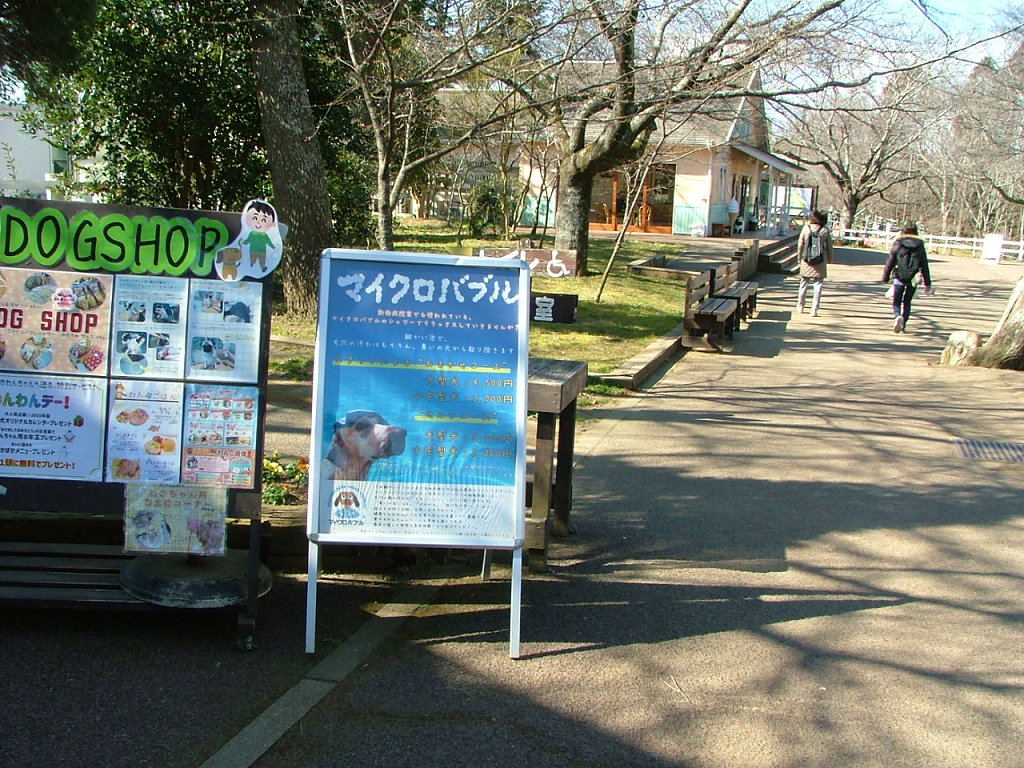 f:id:mishinon:20200714110412j:plain