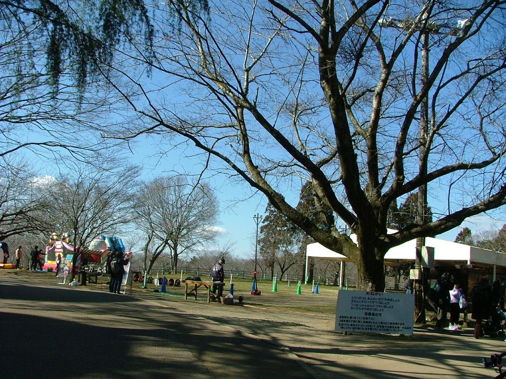 f:id:mishinon:20200714110538j:plain