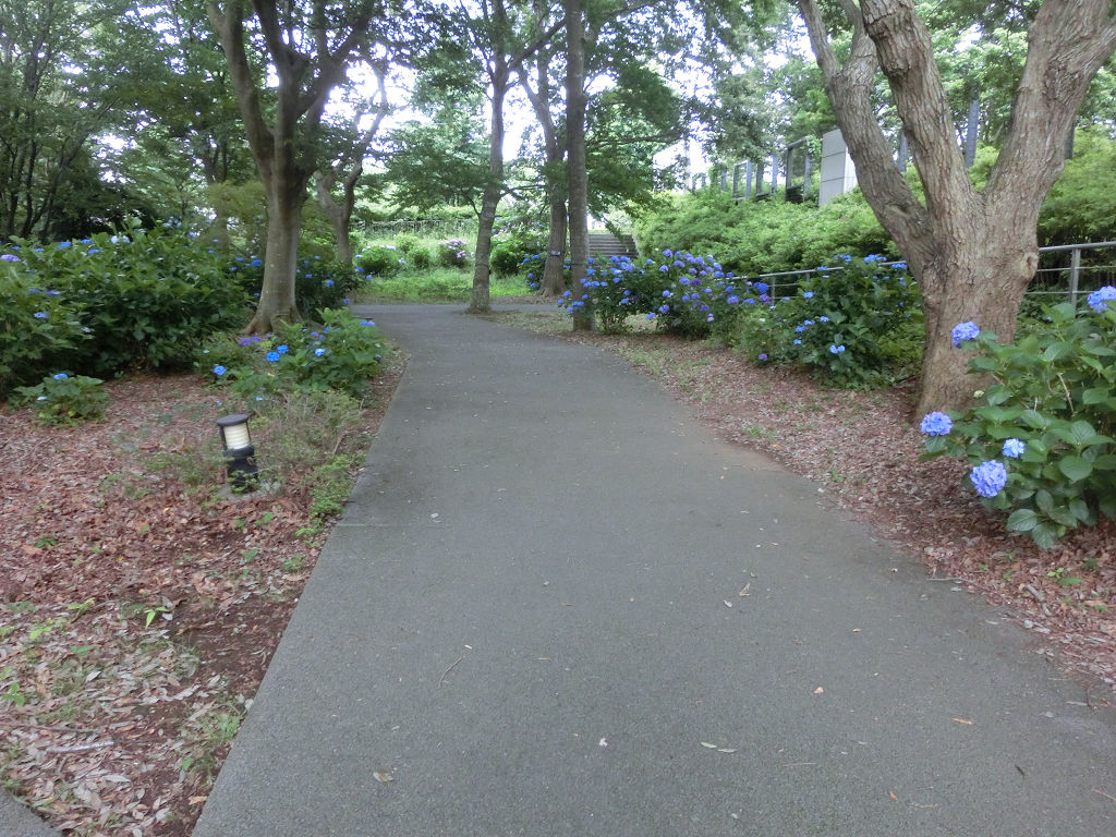 f:id:mishinon:20200721194610j:plain