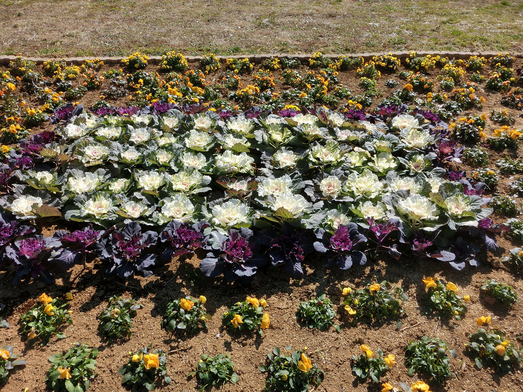 f:id:mishinon:20200724111711j:plain