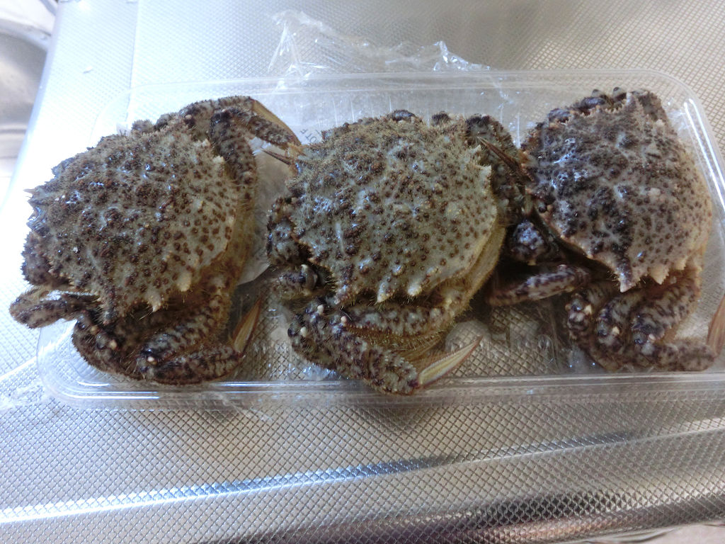 f:id:mishinon:20200819103853j:plain