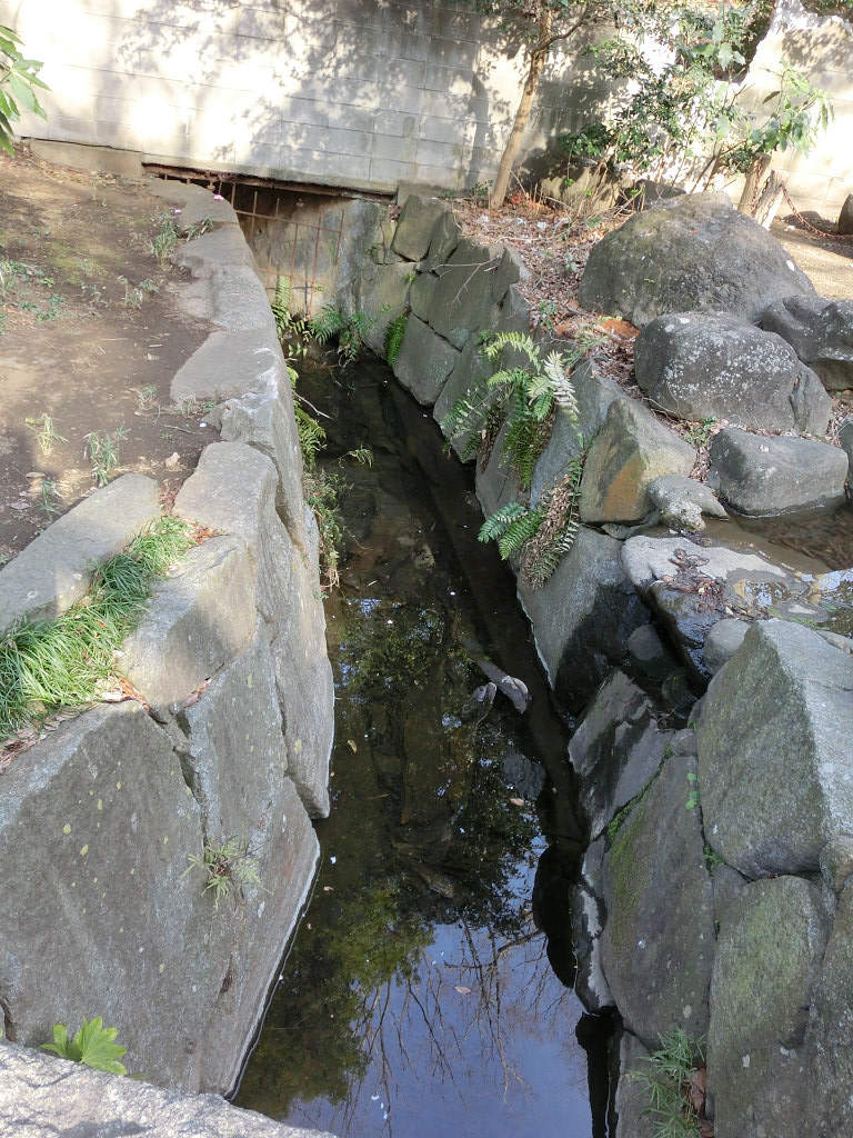 f:id:mishinon:20200820102338j:plain