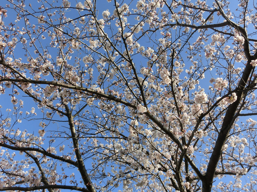 f:id:mishinon:20200823102009j:plain