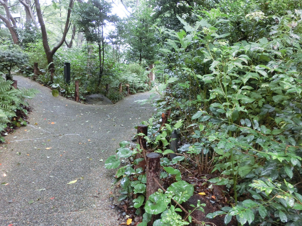 f:id:mishinon:20201005105114j:plain