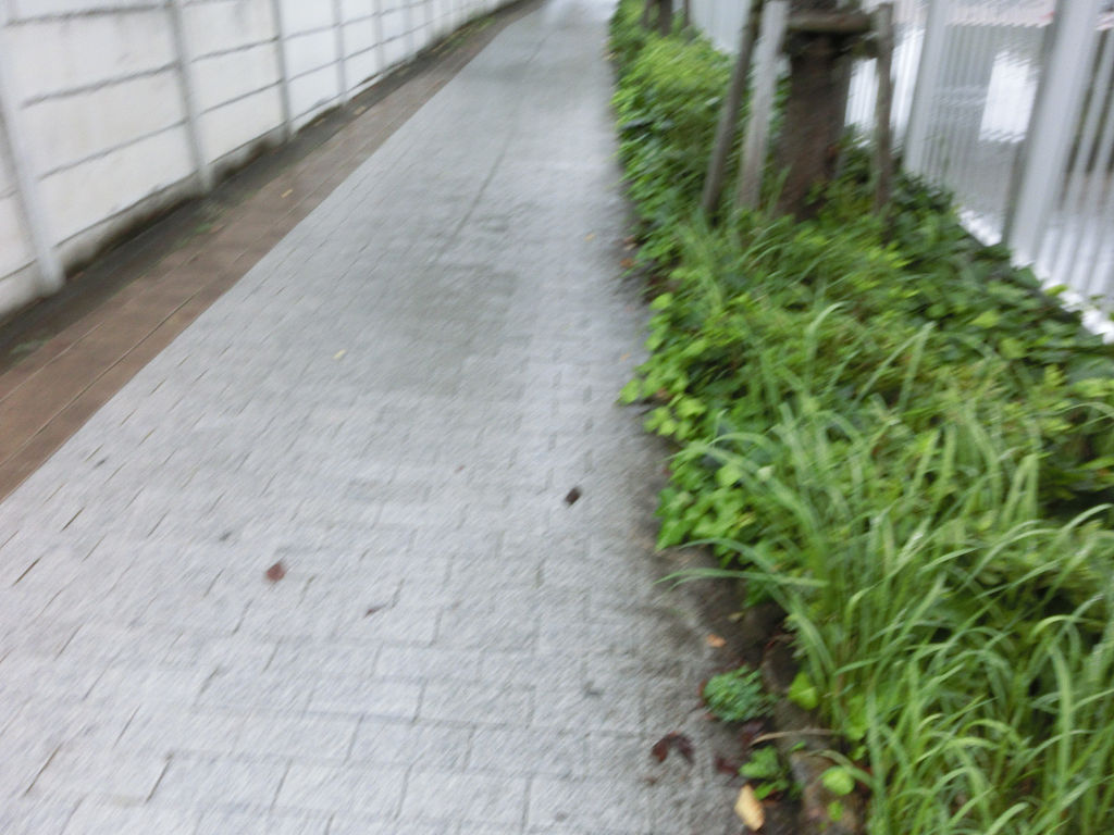 f:id:mishinon:20201009095012j:plain