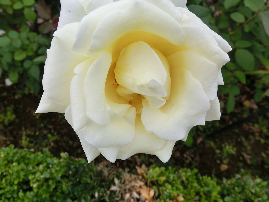 f:id:mishinon:20201117135418j:plain
