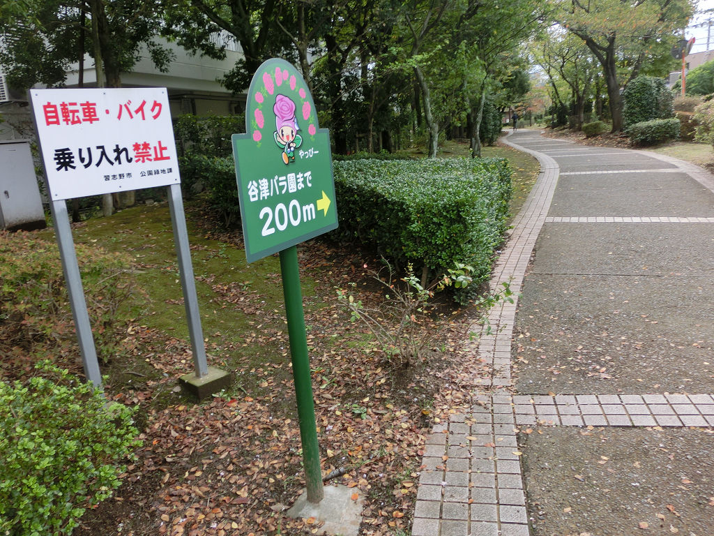 f:id:mishinon:20201123152022j:plain