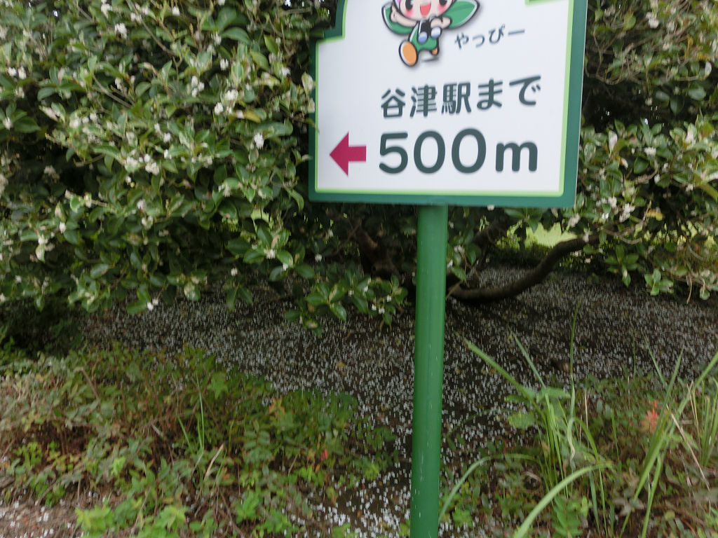 f:id:mishinon:20201123152141j:plain