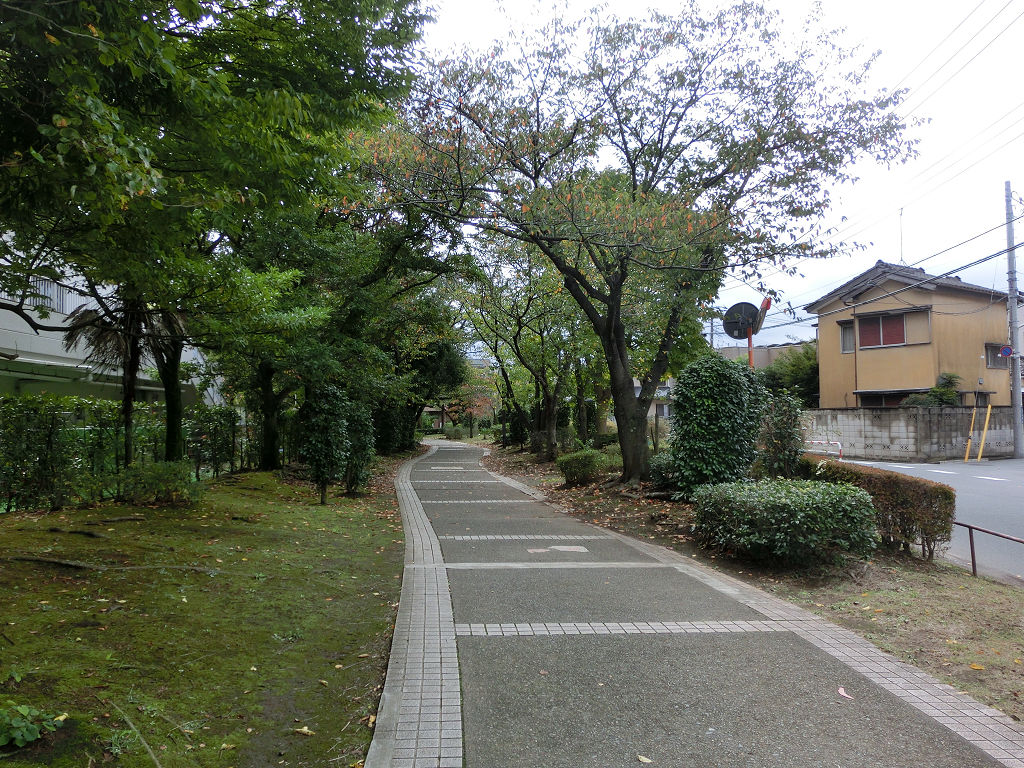 f:id:mishinon:20201123152458j:plain