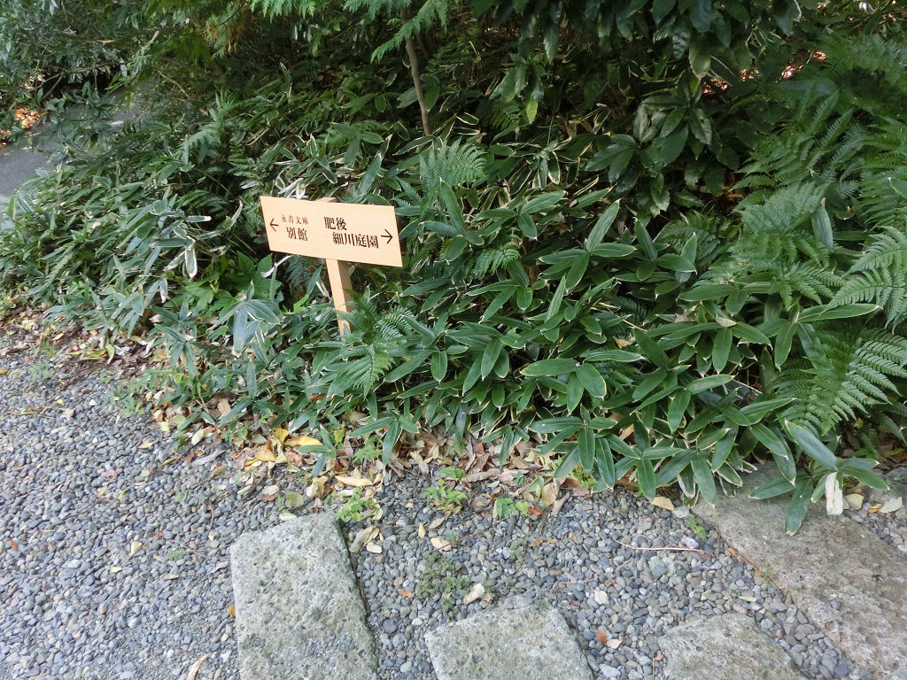 f:id:mishinon:20201202194903j:plain