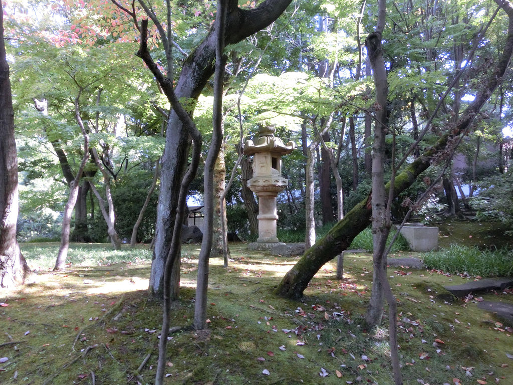f:id:mishinon:20201208110922j:plain