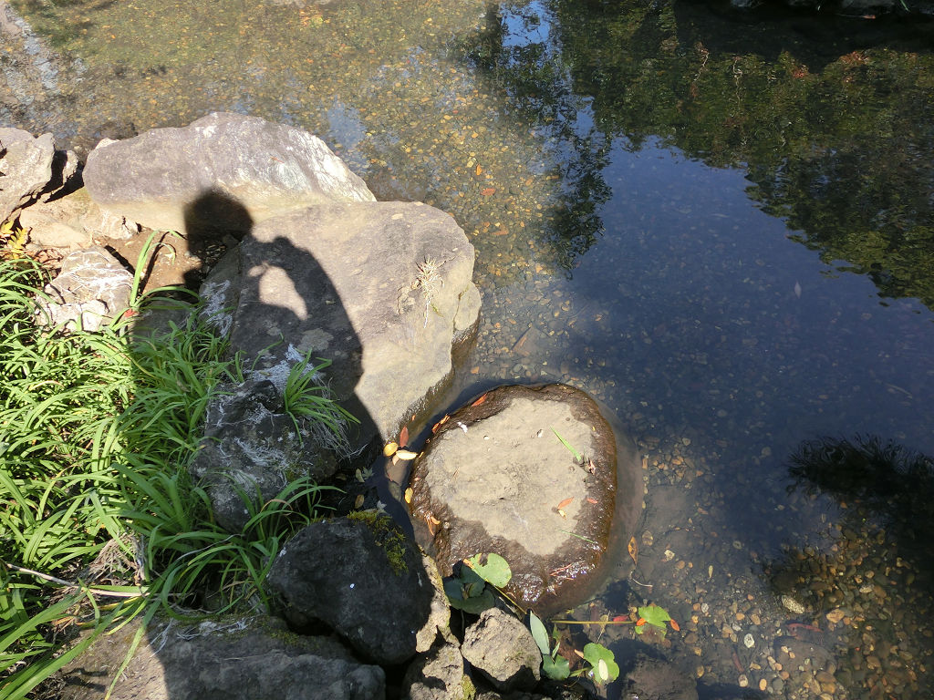 f:id:mishinon:20201208110936j:plain