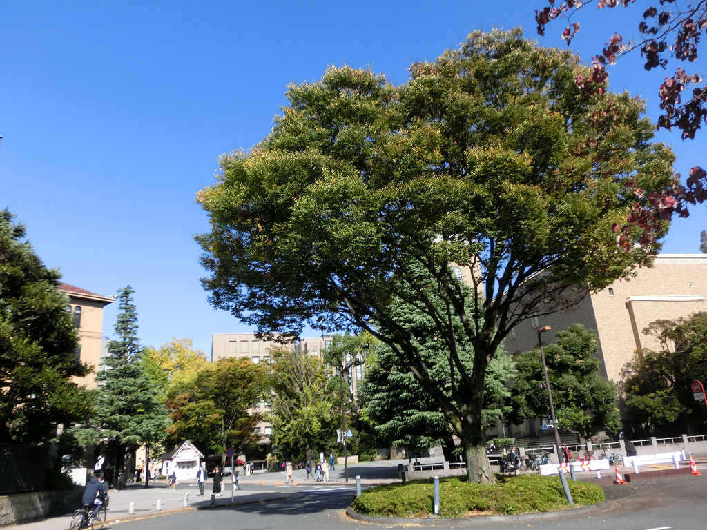 f:id:mishinon:20201212170413j:plain