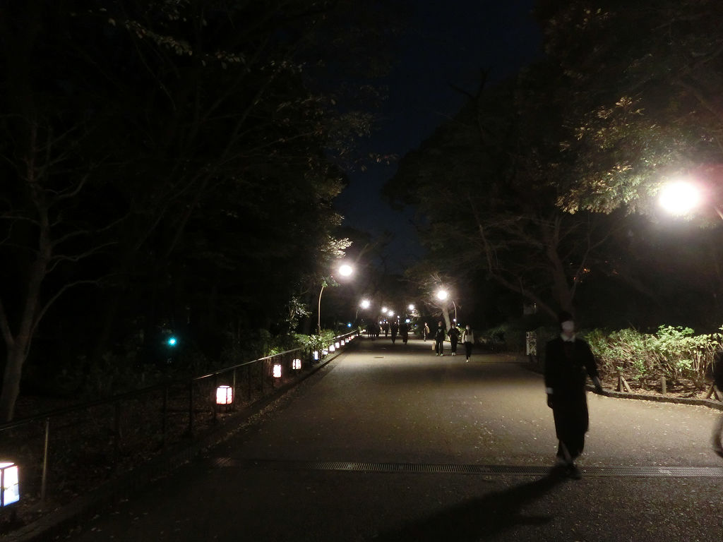 f:id:mishinon:20201223171132j:plain