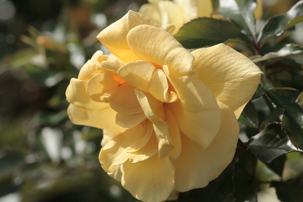 f:id:mishinon:20210103194300j:plain