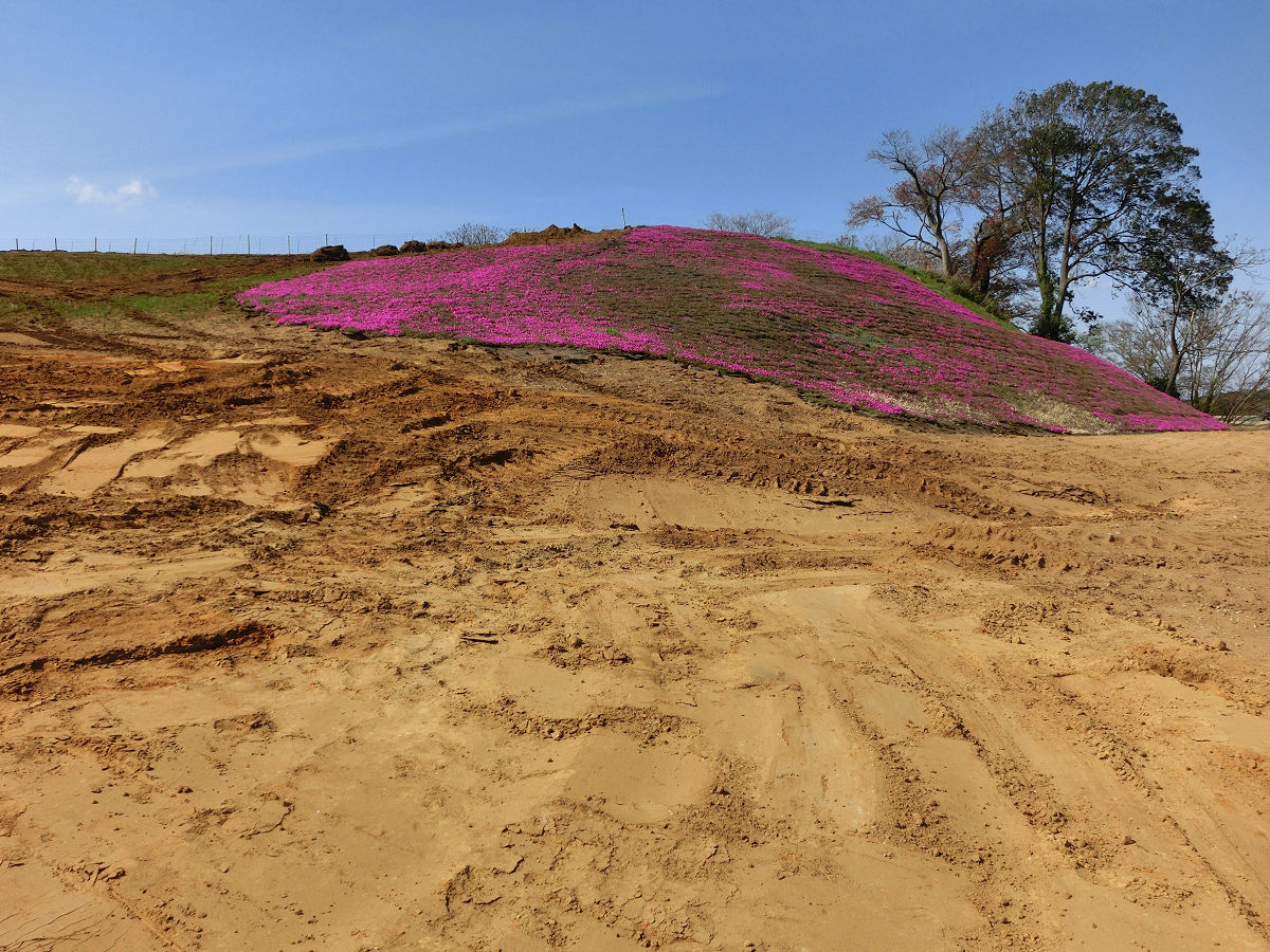 f:id:mishinon:20210411222337j:plain