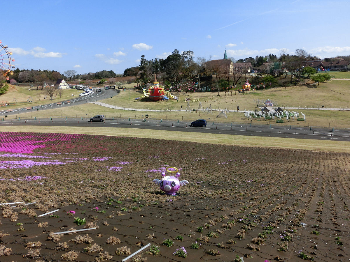 f:id:mishinon:20210411222434j:plain