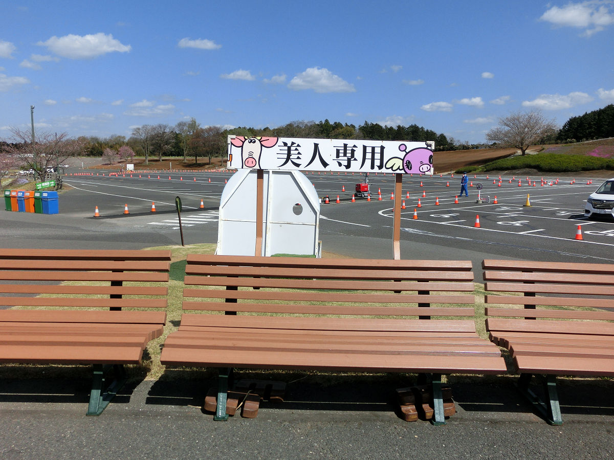 f:id:mishinon:20210415194616j:plain