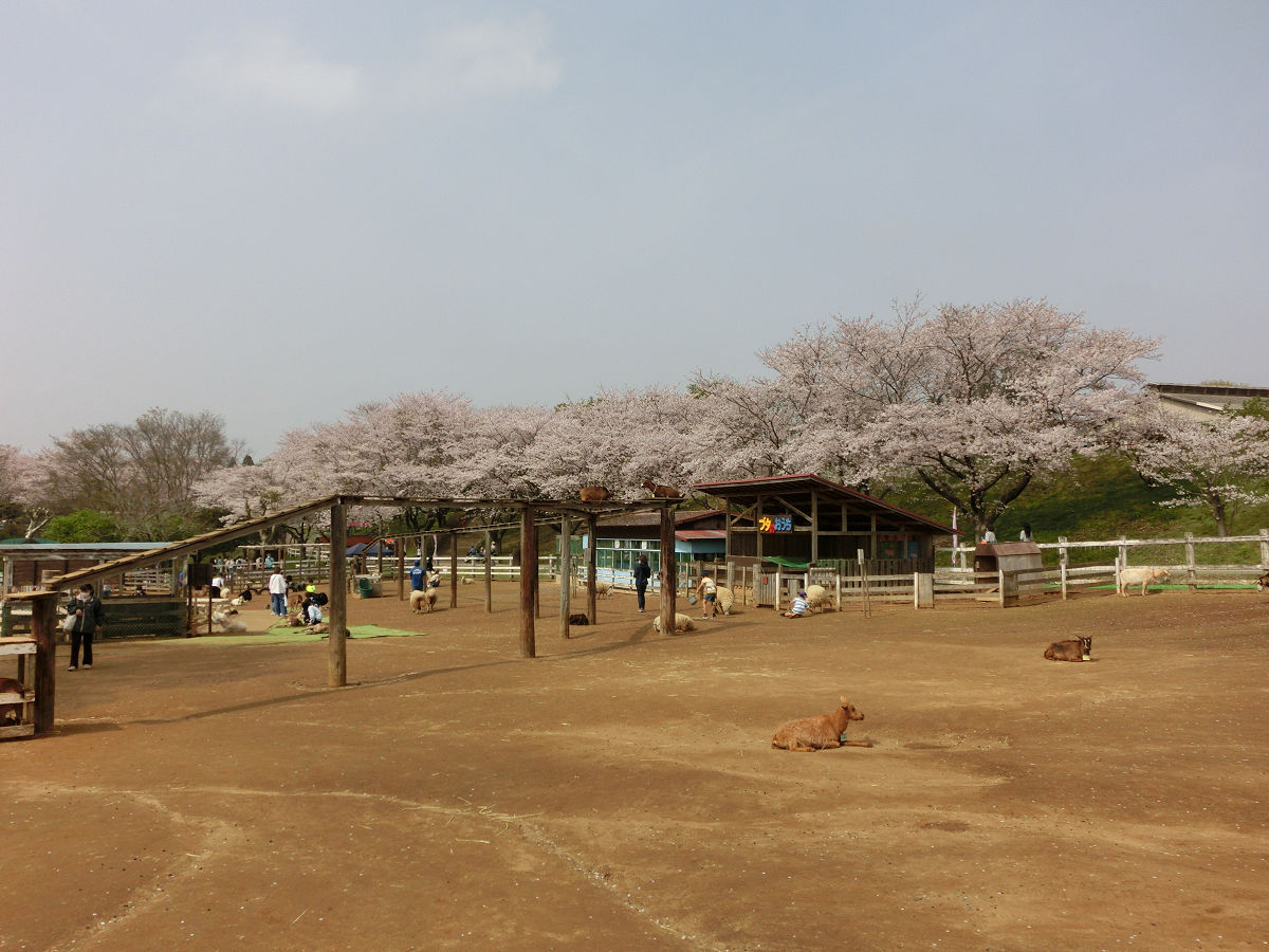 f:id:mishinon:20210501115326j:plain