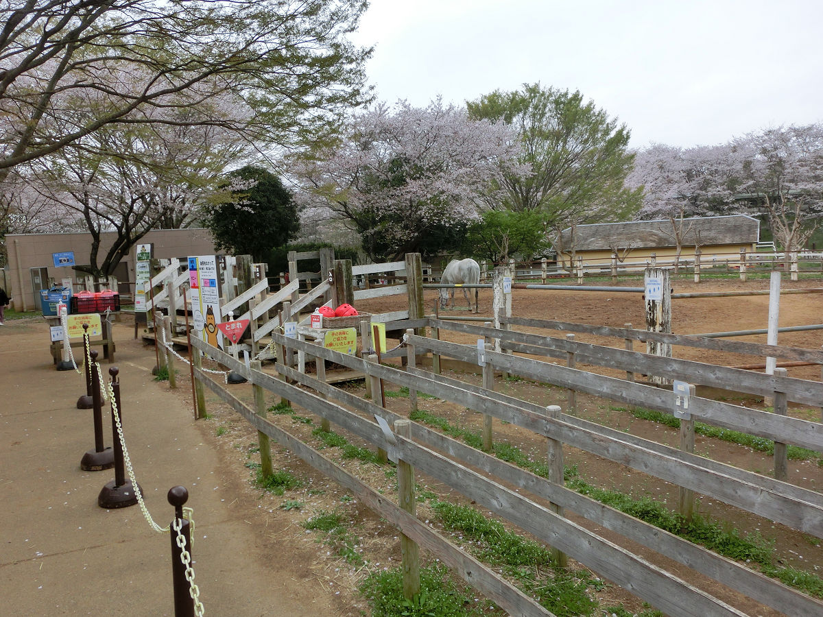 f:id:mishinon:20210511171446j:plain