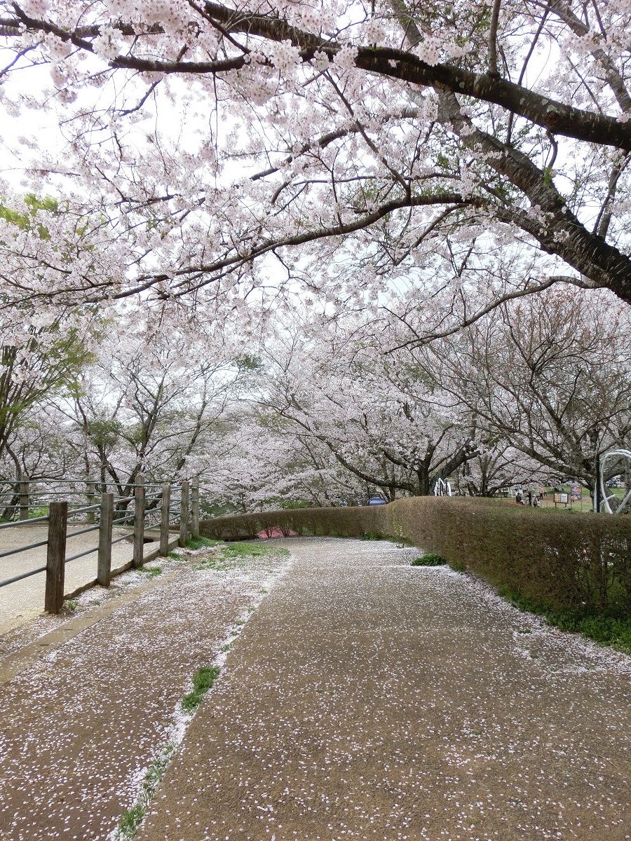 f:id:mishinon:20210512144638j:plain