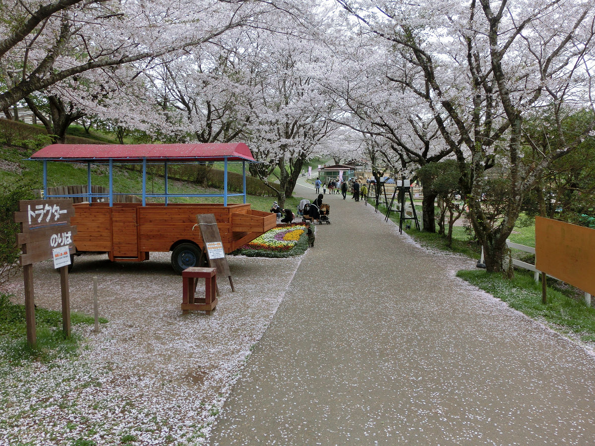 f:id:mishinon:20210512144653j:plain