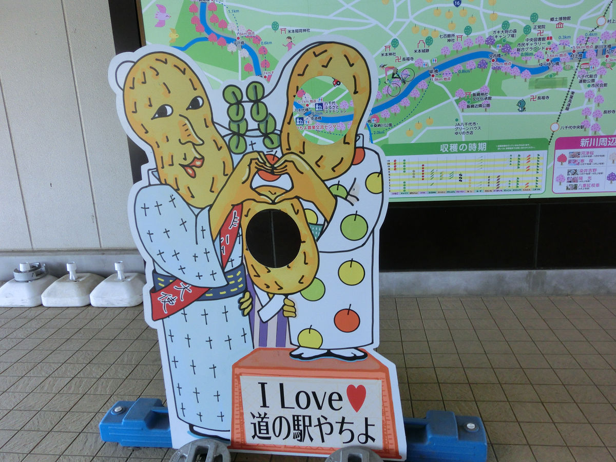 f:id:mishinon:20210530103703j:plain