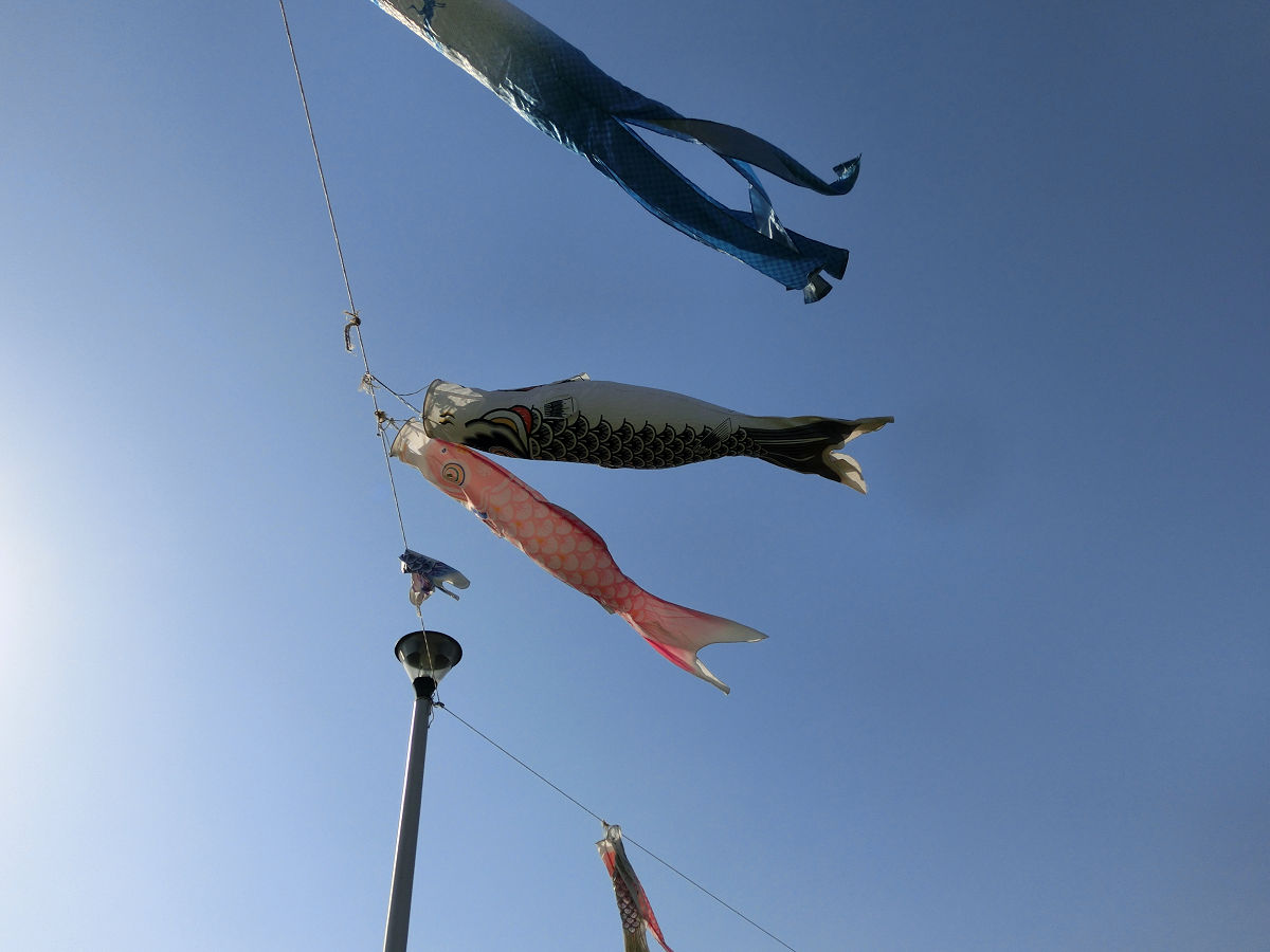 f:id:mishinon:20210530103926j:plain