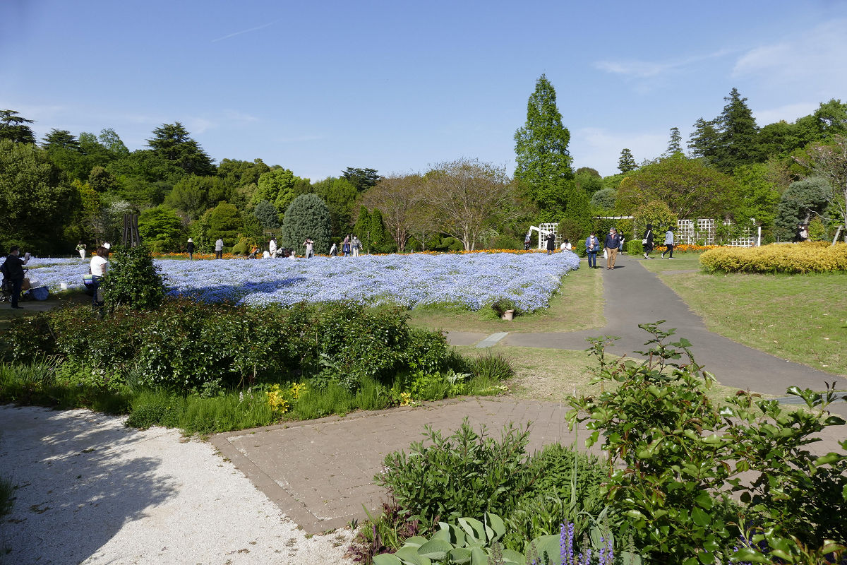 f:id:mishinon:20210603142325j:plain