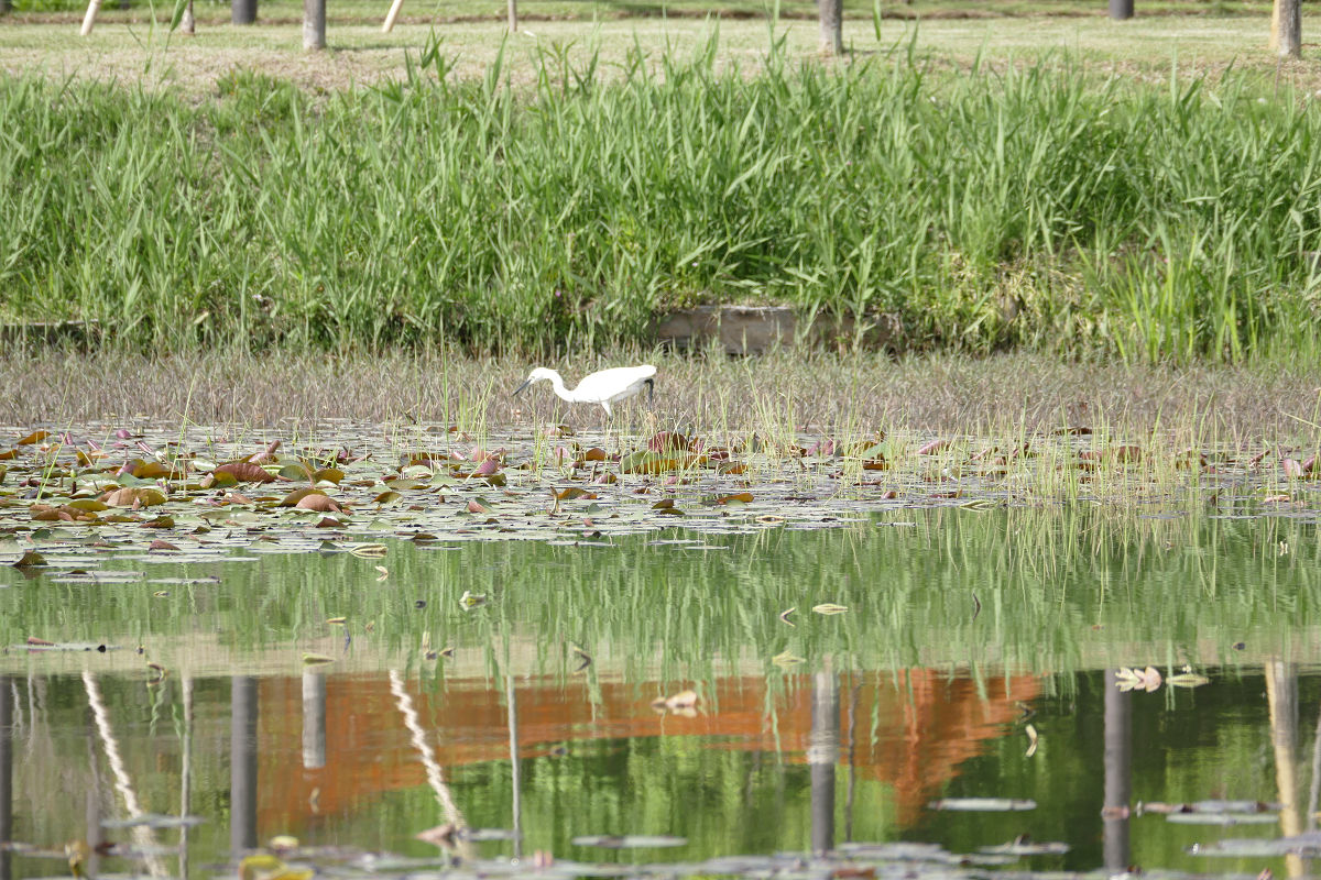 f:id:mishinon:20210608170301j:plain