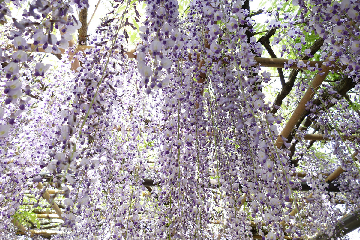 f:id:mishinon:20210608170700j:plain