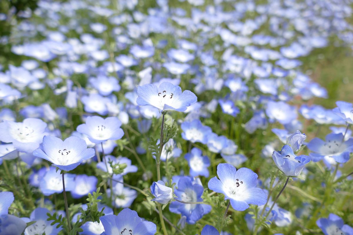 f:id:mishinon:20210622172154j:plain