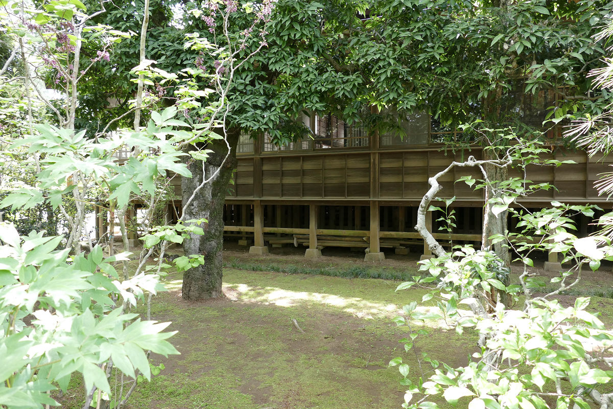 f:id:mishinon:20210628111227j:plain