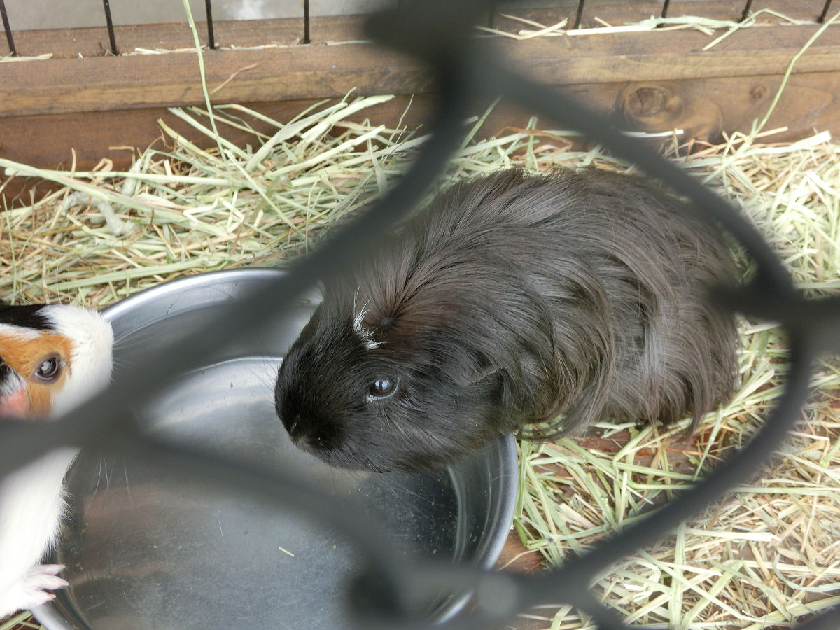 f:id:mishinon:20210713151945j:plain