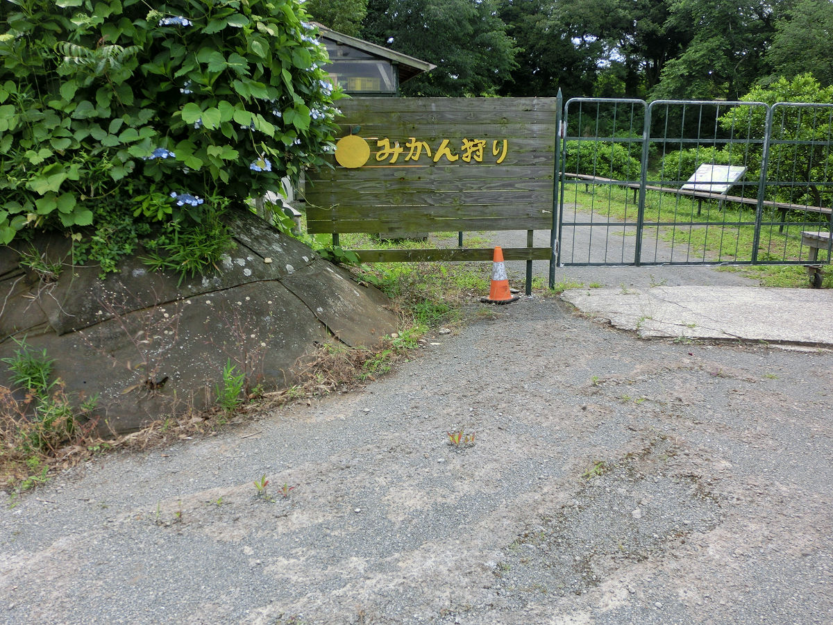 f:id:mishinon:20210718165342j:plain