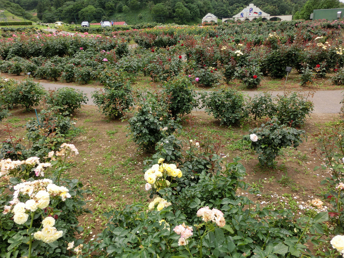 f:id:mishinon:20210723105951j:plain