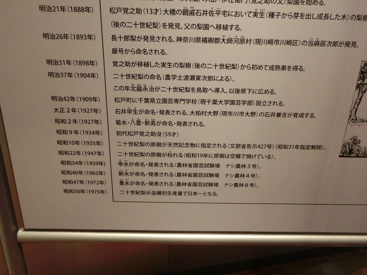 f:id:mishinon:20210729174829j:plain