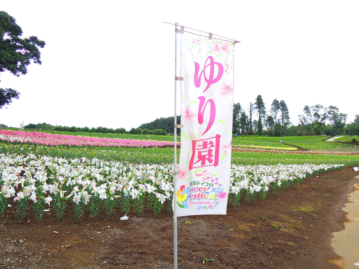 f:id:mishinon:20210815110924j:plain