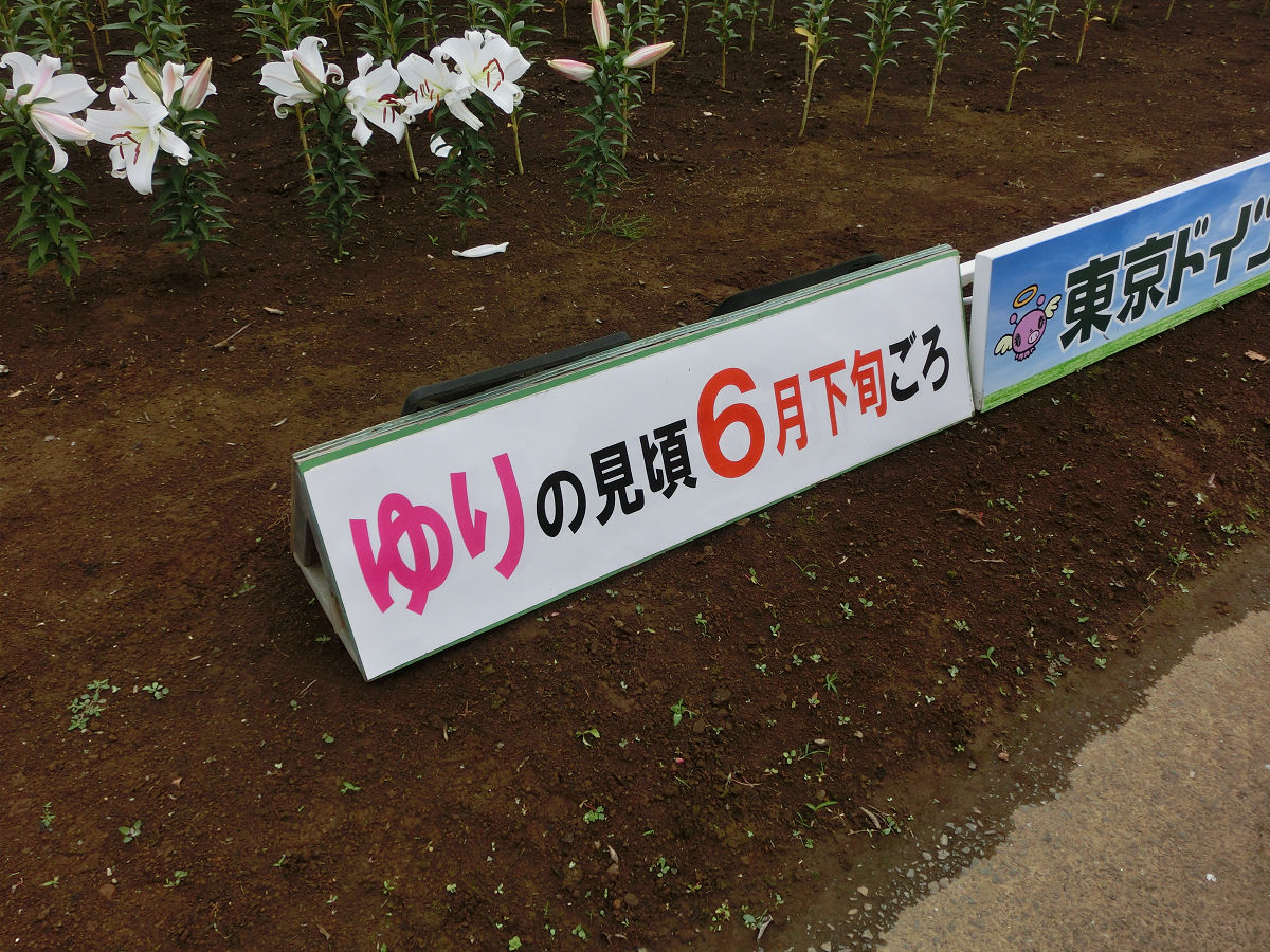 f:id:mishinon:20210826211508j:plain